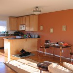 оранжевая кухня фото