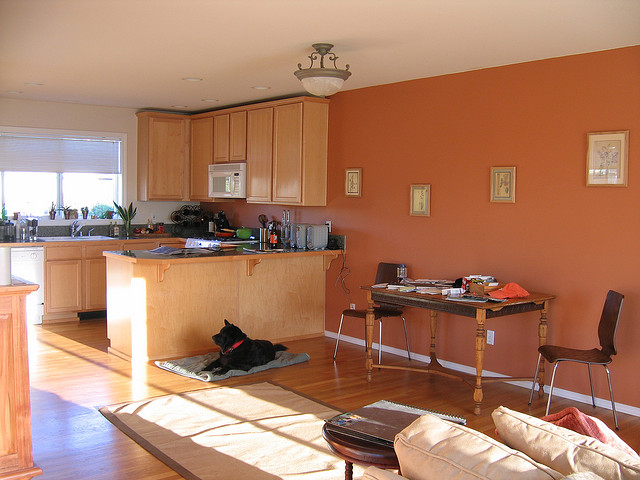 оранжевая кухня фото
