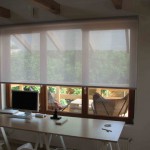 Прозрачные рулонные шторы - фото